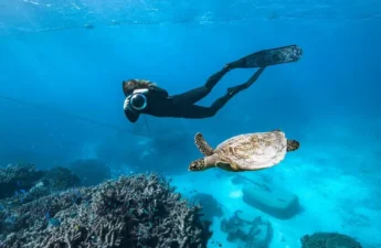Great Barrier Reef With Kids Guide