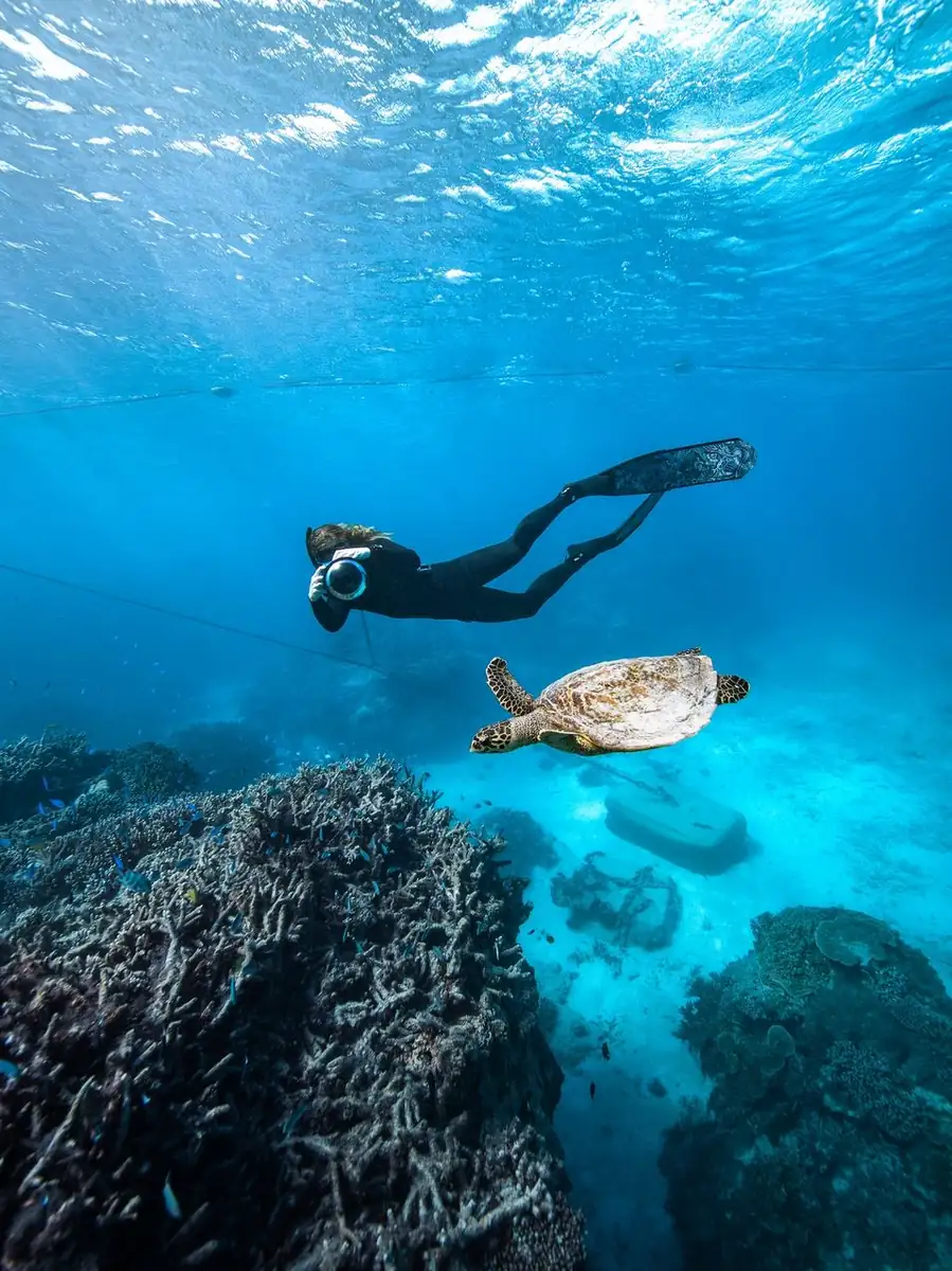 Great Barrier Reef With Kids Guide