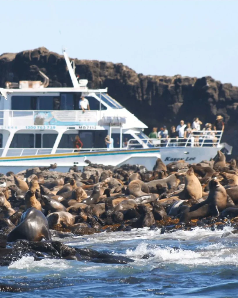 Seal Rocks