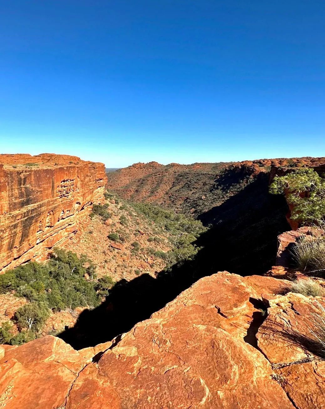 Wildlife and Wonders of Watarrka National Park