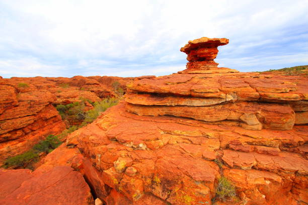 Immerse Yourself in the Beauty of Uluru with Our Extended 2-Day Excursion