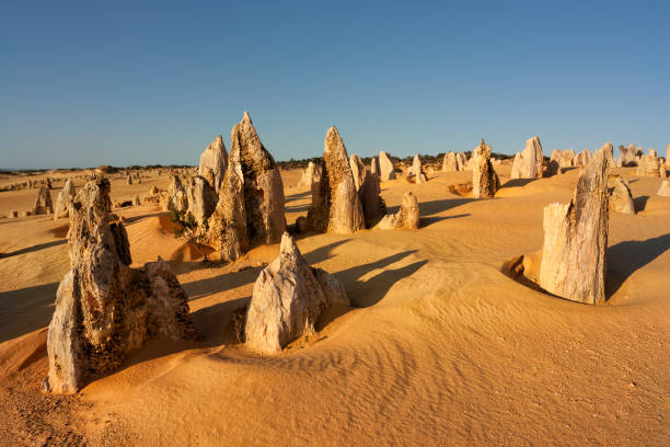 Discover the Pinnacles Desert: A Geological Wonder in Western Australia