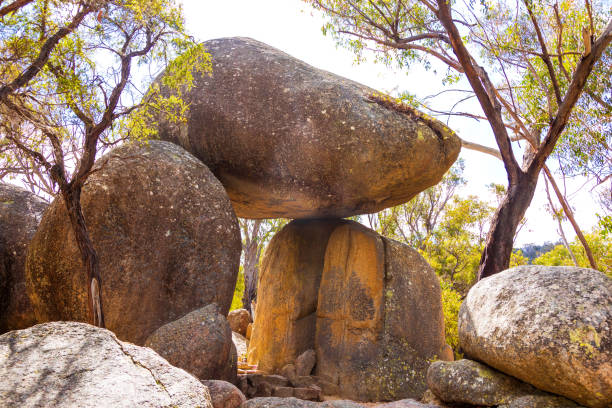 Ultimate Guide to Free Camping Near Girraween National Park, QLD