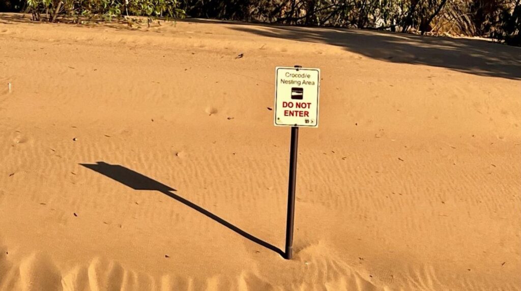 see freshwater crocs, Katherine Gorge